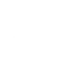 genecology image